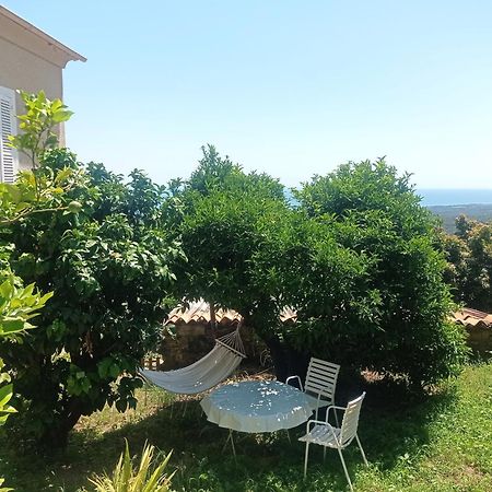 Appartement A Caserella Entierement Renove Avec Terrasse Et Vue Panoramique Sur Mer Valle-di-Campoloro エクステリア 写真