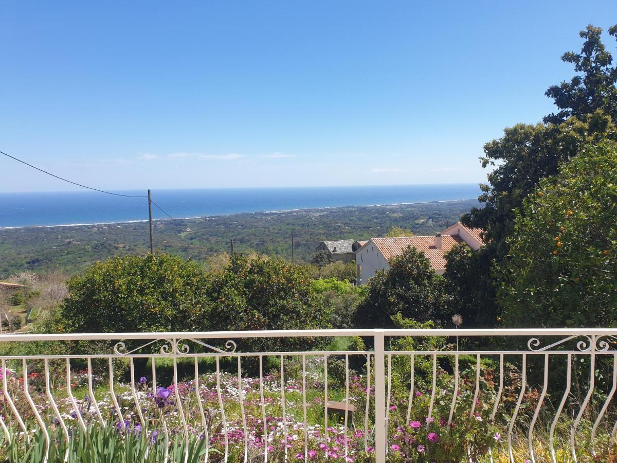 Appartement A Caserella Entierement Renove Avec Terrasse Et Vue Panoramique Sur Mer Valle-di-Campoloro エクステリア 写真