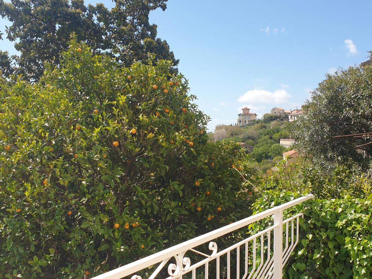 Appartement A Caserella Entierement Renove Avec Terrasse Et Vue Panoramique Sur Mer Valle-di-Campoloro エクステリア 写真