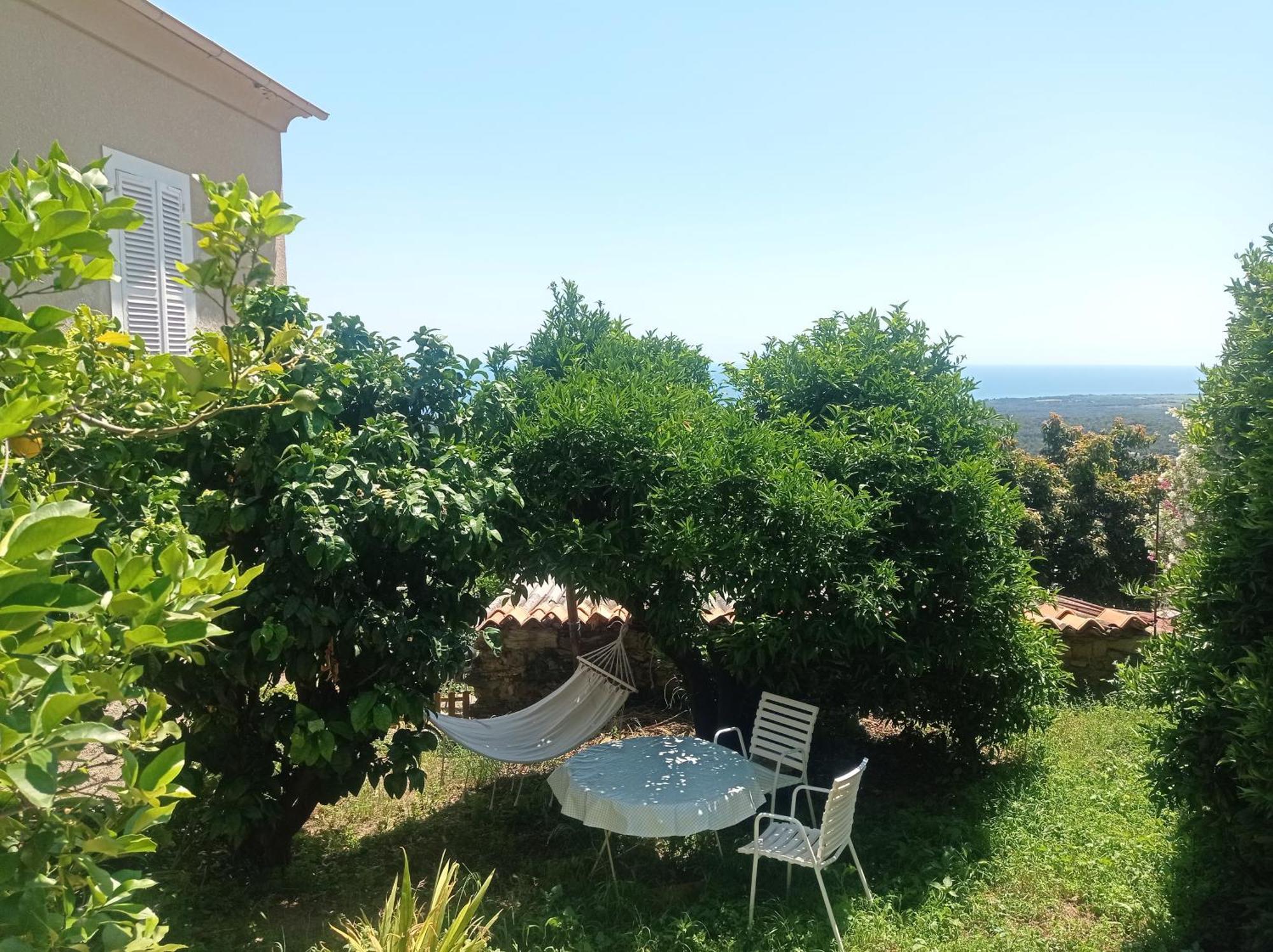 Appartement A Caserella Entierement Renove Avec Terrasse Et Vue Panoramique Sur Mer Valle-di-Campoloro エクステリア 写真